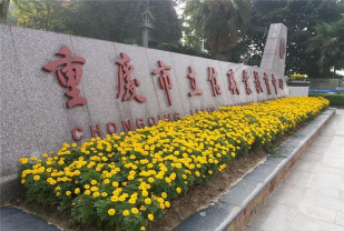 重庆立信职业教育中心阅读区