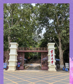 云南大学阅读区