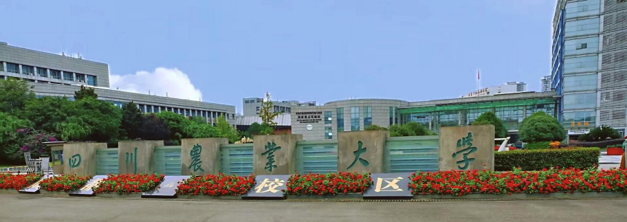 四川农业大学阅读区