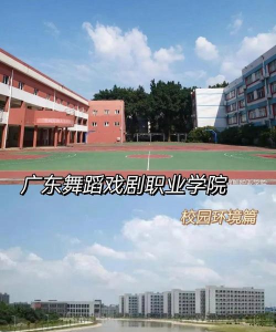 舞蹈与戏剧艺术学院阅读区