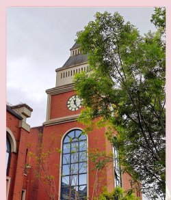 精英教育学院阅读区