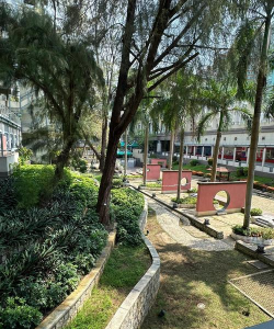 岭南大学(中国香港)阅读区