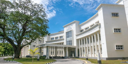 留尼汪大学