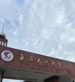 武鸣县府城高级中学阅读区