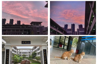 南宁市邕宁区第三高级中学阅读区