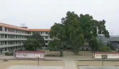 桂平市历山中学阅读区