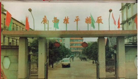 桂平糖厂中学阅读区