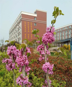 江苏省宿城中等专业学校阅读区
