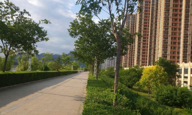 阜阳市颍东区中铁四局第二工程子弟学校阅读区
