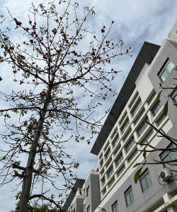广西大学行健文理学院阅读区