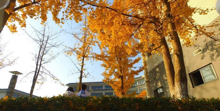 重庆第二师范学院