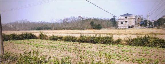 桃园县立东安国中