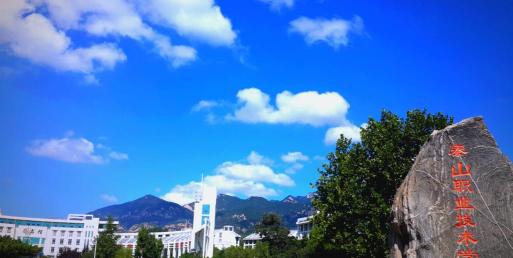 泰山职业技术学院