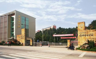 四川文化艺术学院
