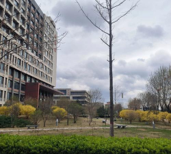 山西卫生健康职业学院