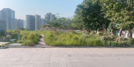 重庆徐悲鸿中学