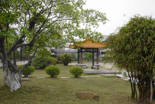 鹤山市职业技术高级中学