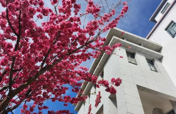 丽江高等学校