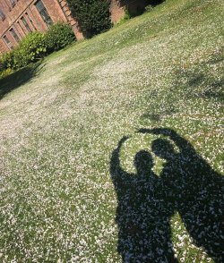 赫尔大学