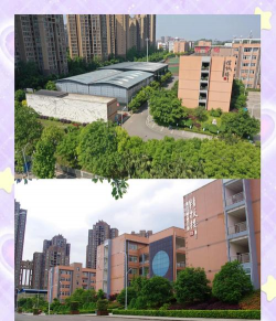 重庆市童家桥职业中学