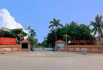 海南雅典职业技术学校