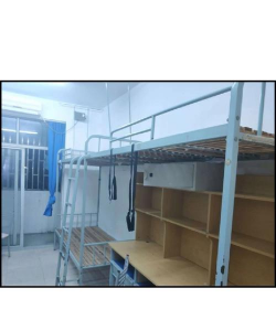 上海科学技术职业学院