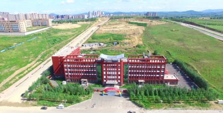 鸡西市文成高中