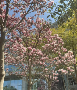 四川农业大学