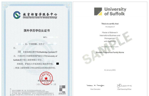 萨福克新学院