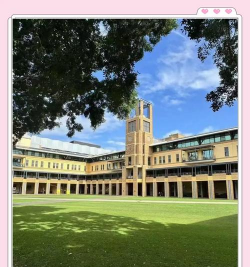 威尔士大学(新港)