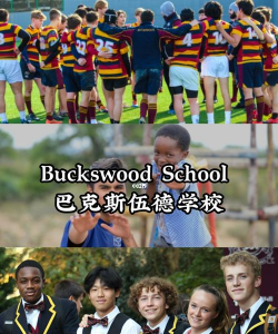 巴克斯伍德学校