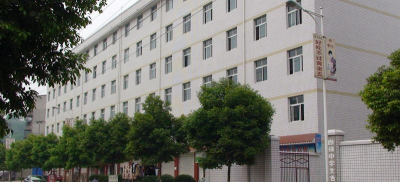 威远自强中学校