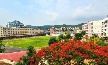 隆安中学