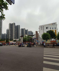 南宁市柳沙学校(小学部)