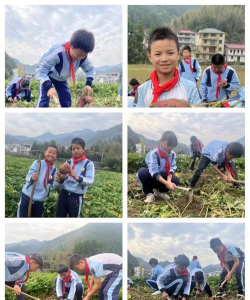 开化县林山乡菖蒲初级中学