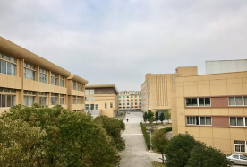 金清实验中学