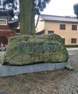 天台泳溪中学