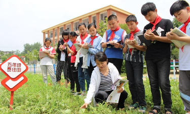 阜阳市颍东区正午镇正午中心学校