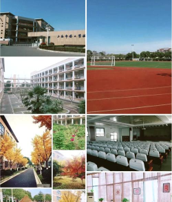 临泉县姜寨博文学校