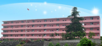 袁州区西村一中