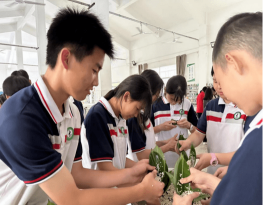 袁州区南庙中学