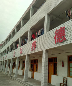 安乡县安凝乡张九台中学