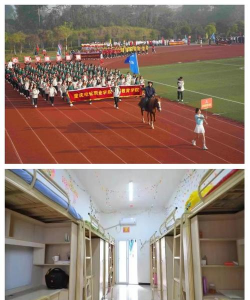 重庆电信职业学院单招