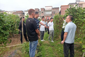 云浮市云城区南盛镇中学