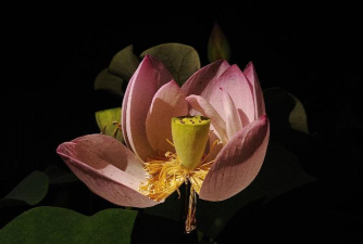 重庆第二师范学院