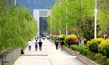 巴中信息技术学校