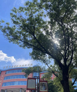 东莞市五星职业技术学校