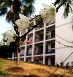 自贡旅游幼师职业高级中学