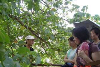 国立竹东高级中学