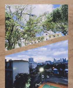 广西广播电视中等专业学校